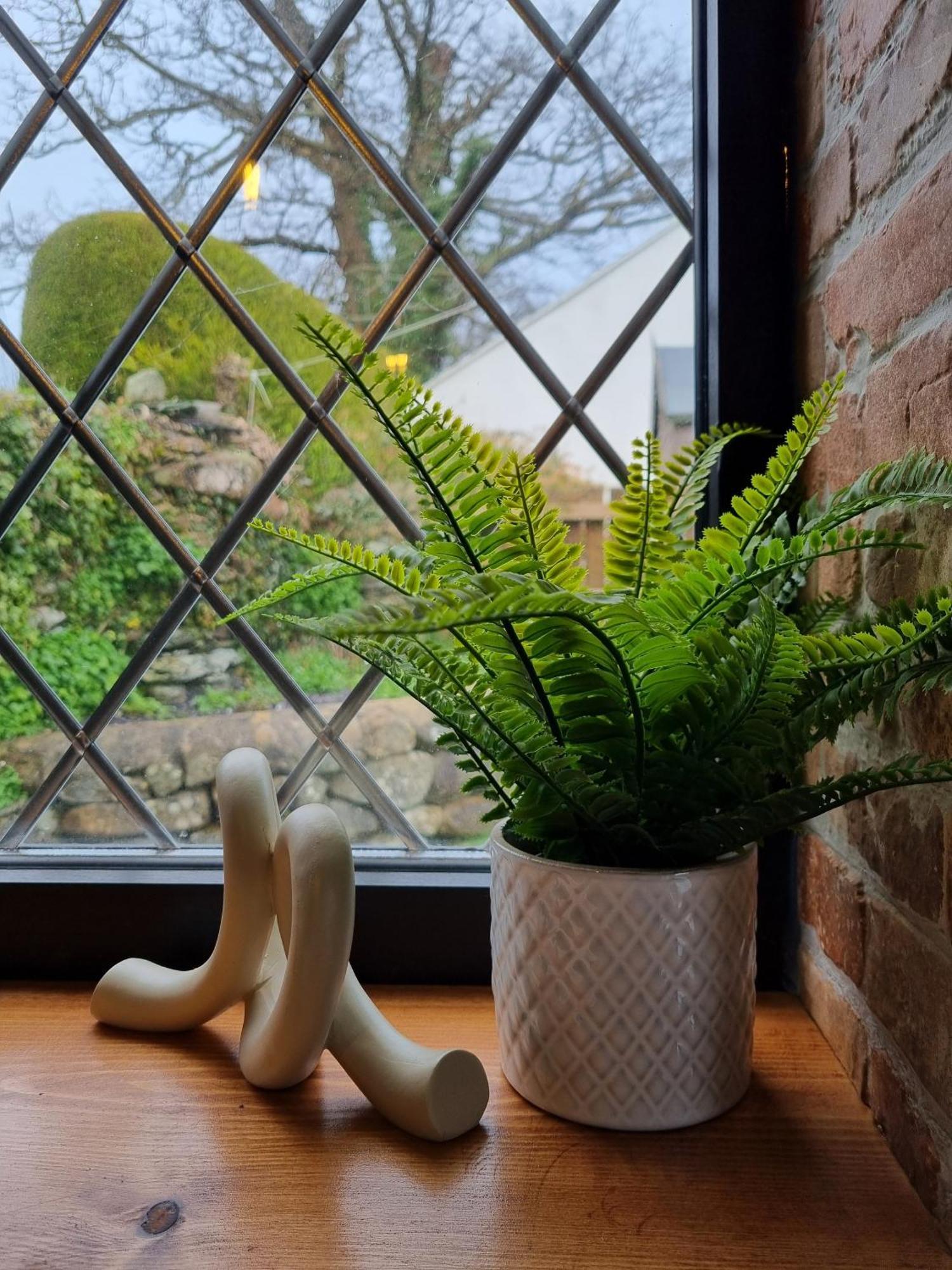 Green Cottage - Snowdonia Llanllechid Ngoại thất bức ảnh